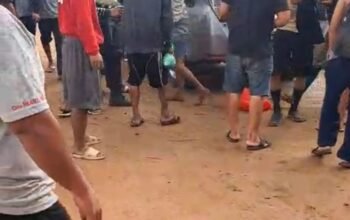 Dua Pria Diduga Satgas Dikerumuni Warga di Gudang PT PMM Air Anyir, Keributan Terekam Video